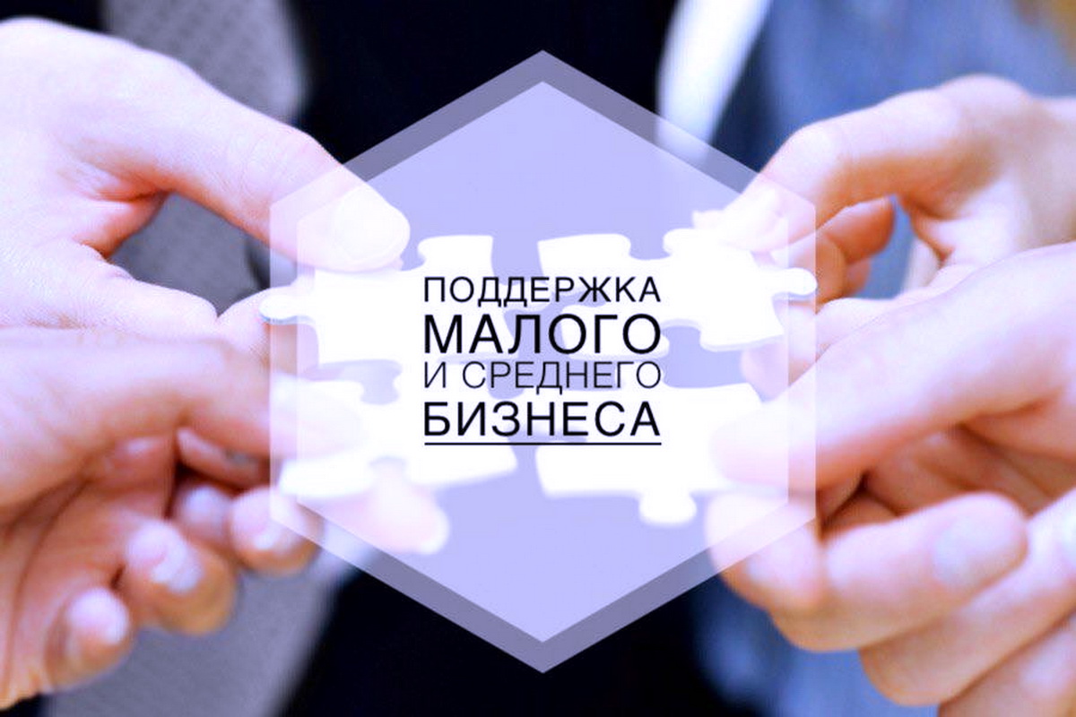 Госдума приняла в I чтении законопроект о «выращивании» МСП для участия в закупках
